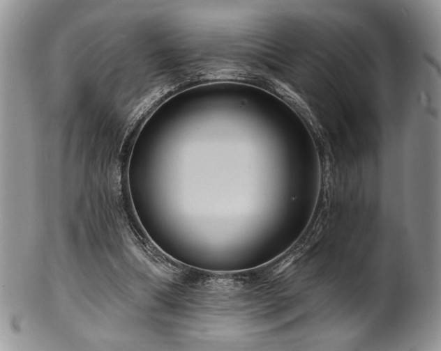 X0000100840298200806201157