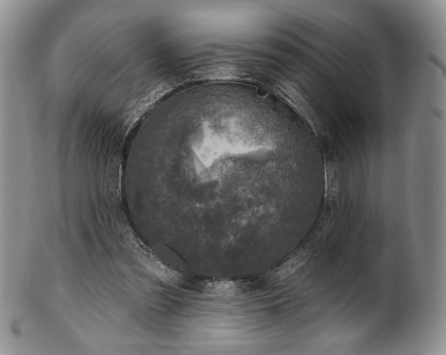 X0000100840301200806201157