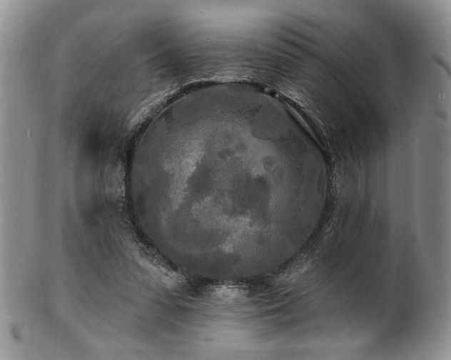 X0000100840303200806201157