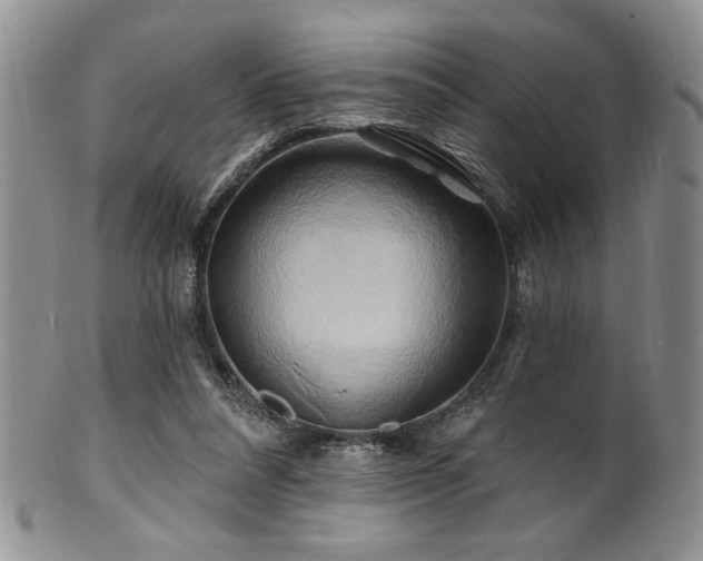 X0000100840304200806201157