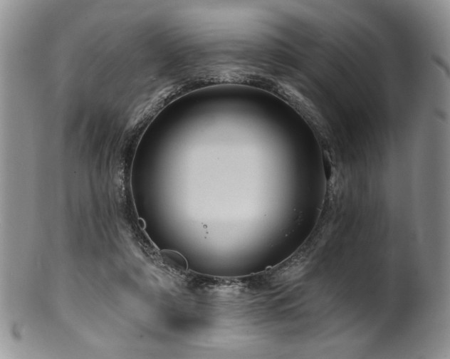 X0000100840306200806201157