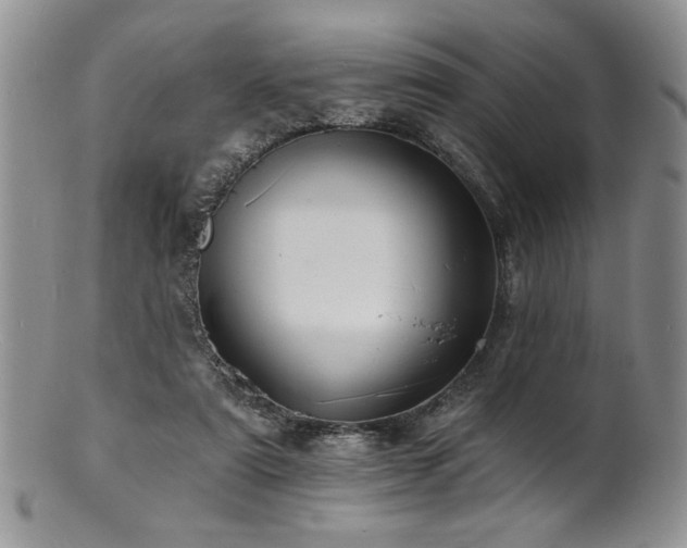 X0000100840307200806201157