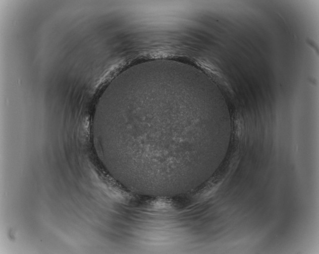 X0000100840308200806201157