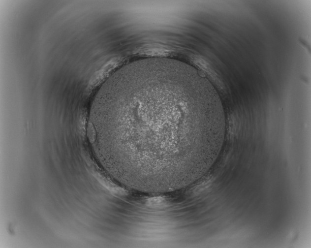 X0000100840309200806201157