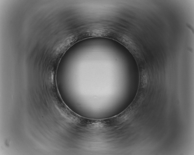 X0000100840310200806201157