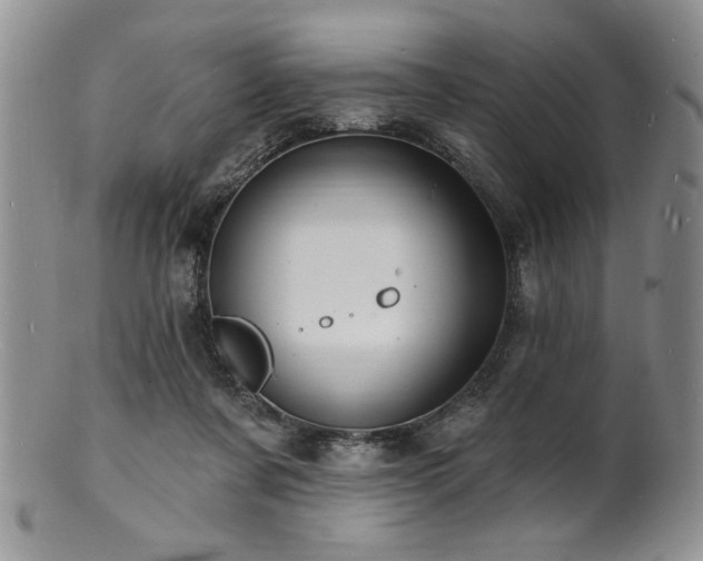 X0000100840311200806201157