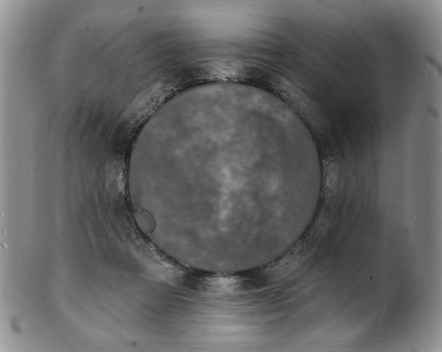 X0000100840313200806201157