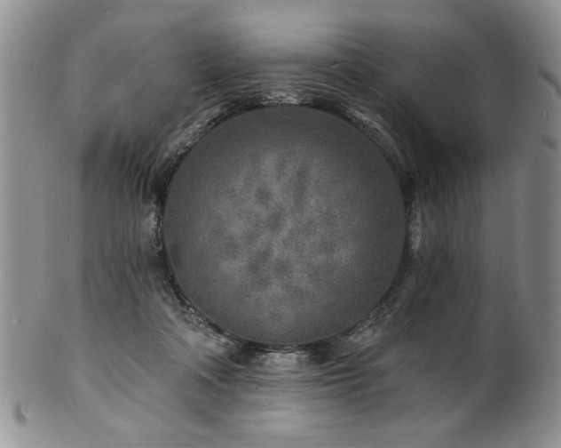 X0000100840314200806201157