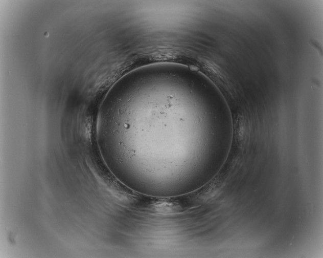 X0000100840315200806201157