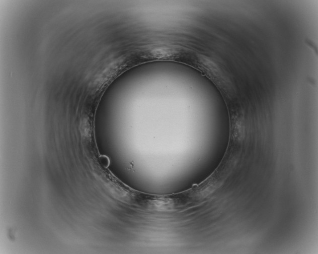 X0000100840317200806201157