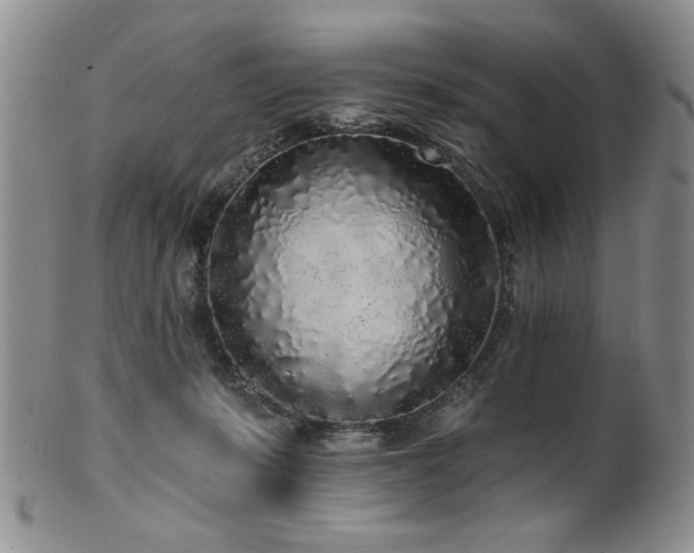 X0000100840319200806201157