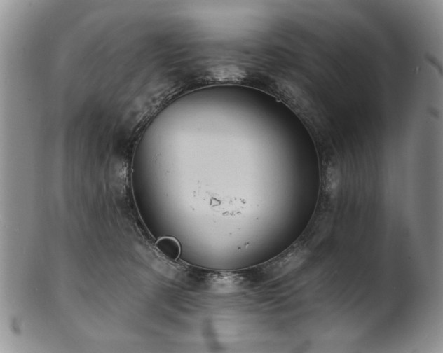 X0000100840321200806201157