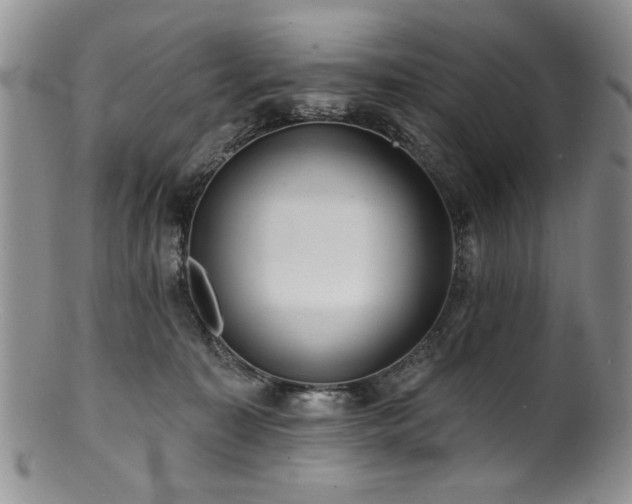 X0000100840323200806201157