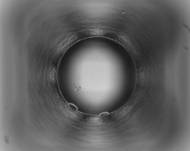 X0000100840325200806201157