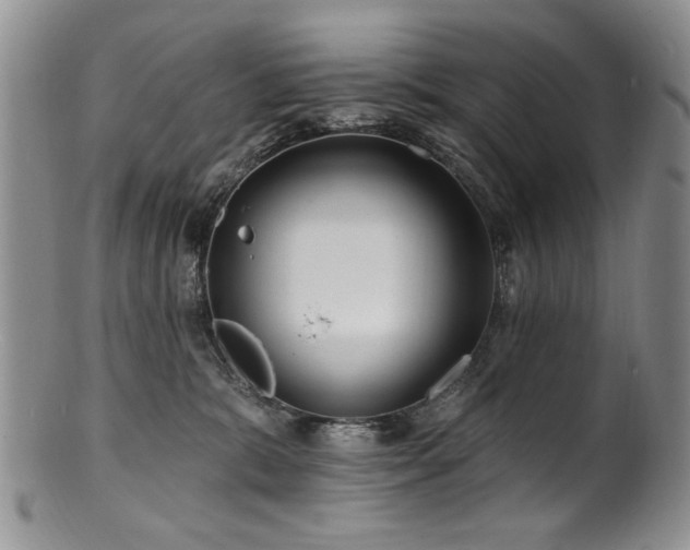 X0000100840327200806201157