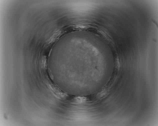 X0000100840328200806201157