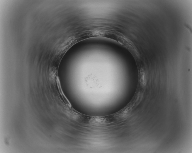 X0000100840329200806201157