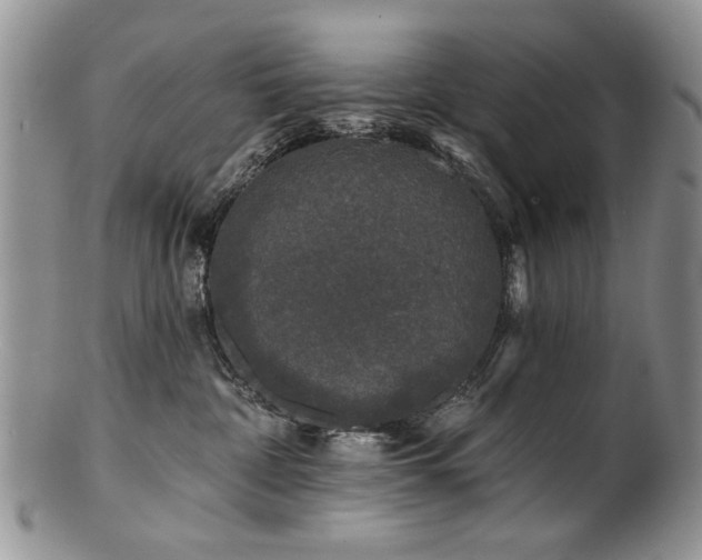 X0000100840332200806201157