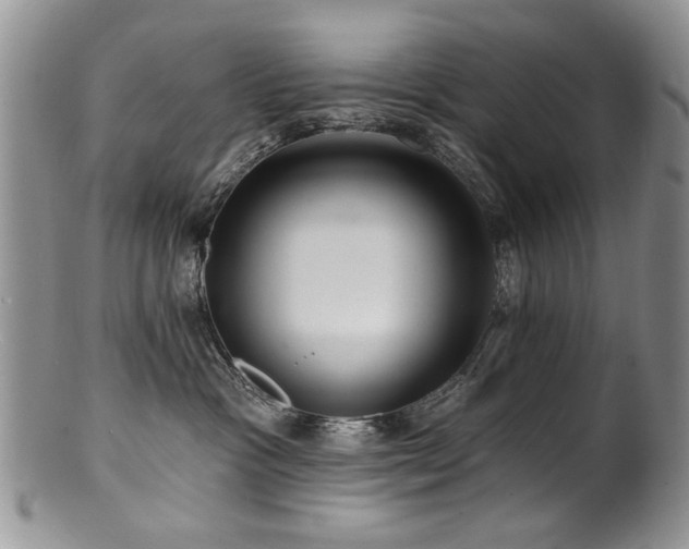 X0000100840333200806201157