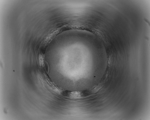 X0000100840335200806201156