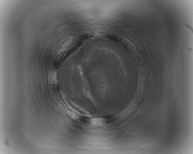 X0000100840336200806201156