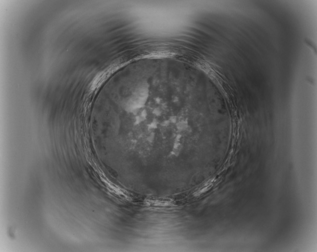 X0000100840337200806201156