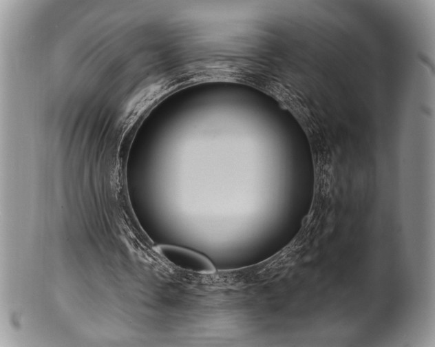 X0000100840338200806201156