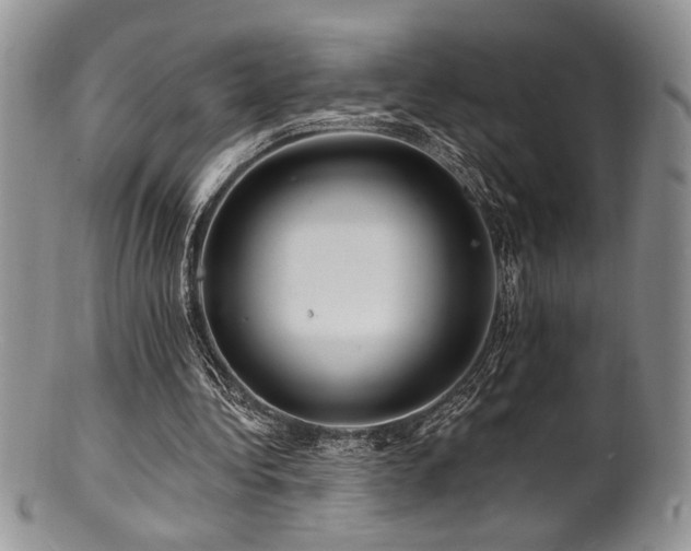 X0000100840340200806201156