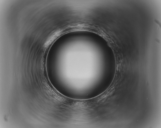 X0000100840341200806201156