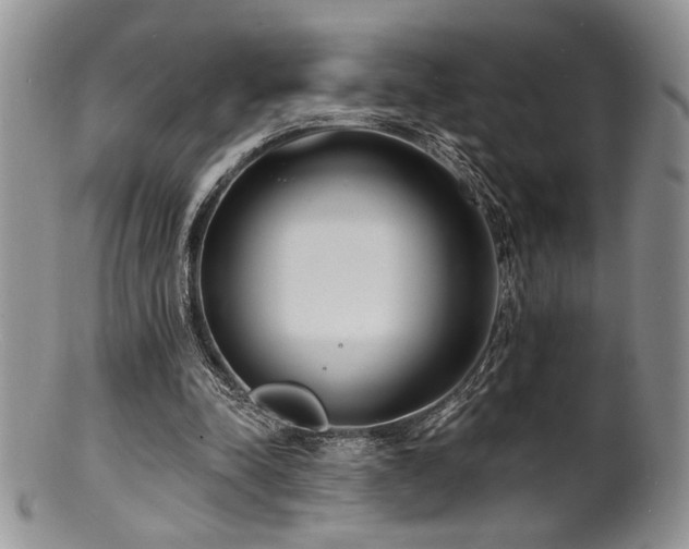 X0000100840342200806201156