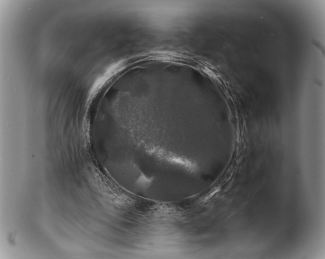 X0000100840343200806201156