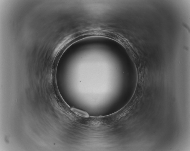 X0000100840344200806201156