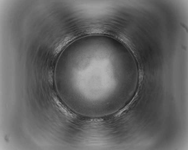 X0000100840345200806201156