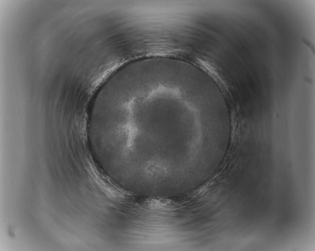 X0000100840346200806201156