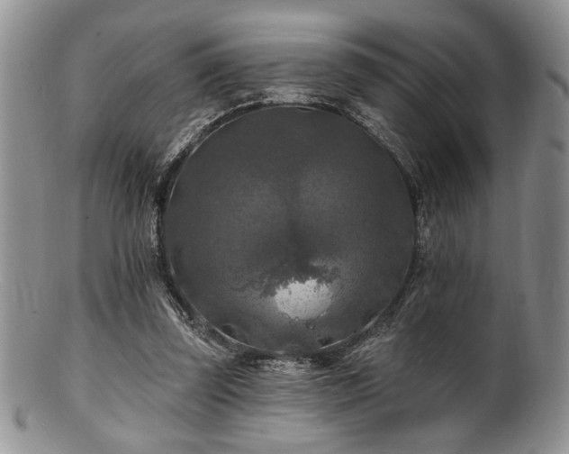 X0000100840347200806201156