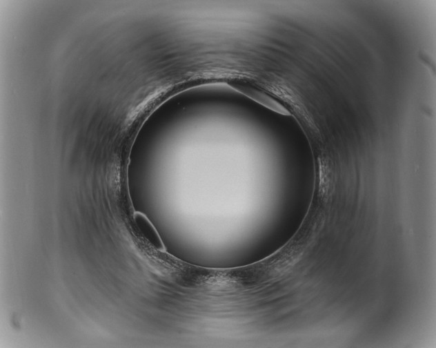 X0000100840348200806201156