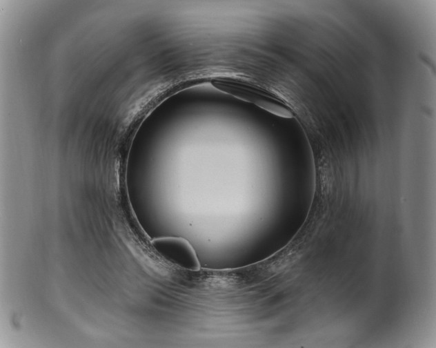 X0000100840350200806201156