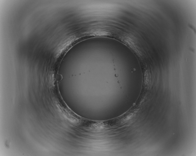 X0000100840351200806201156