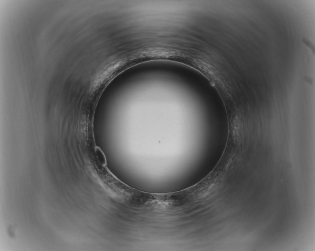 X0000100840352200806201156