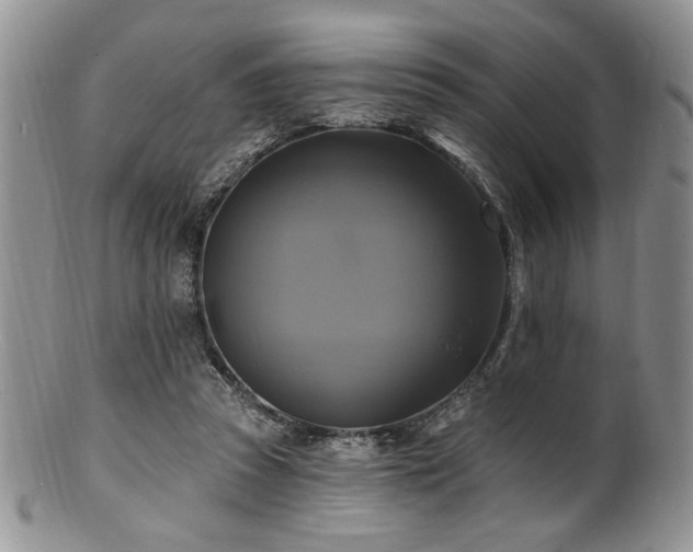 X0000100840353200806201156