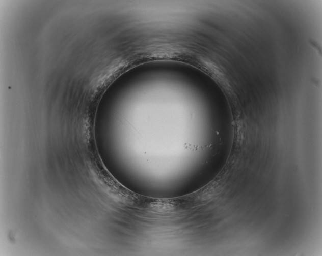 X0000100840354200806201156