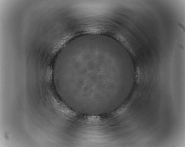 X0000100840355200806201156