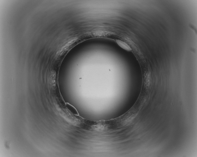 X0000100840356200806201156