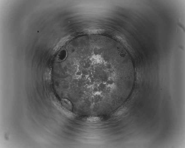 X0000100840357200806201156