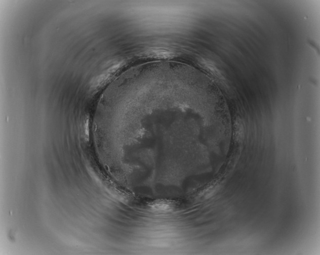 X0000100840358200806201156