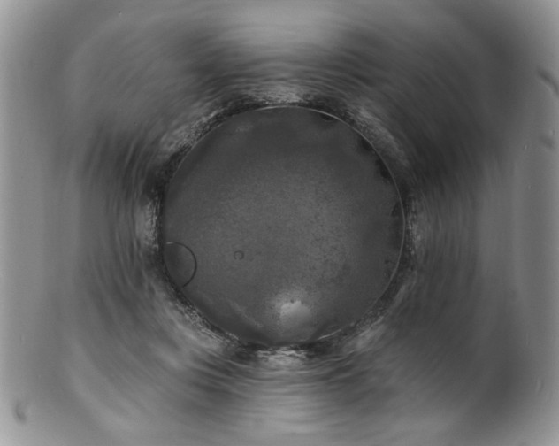 X0000100840359200806201156