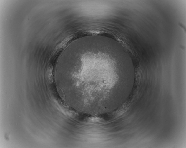 X0000100840360200806201156