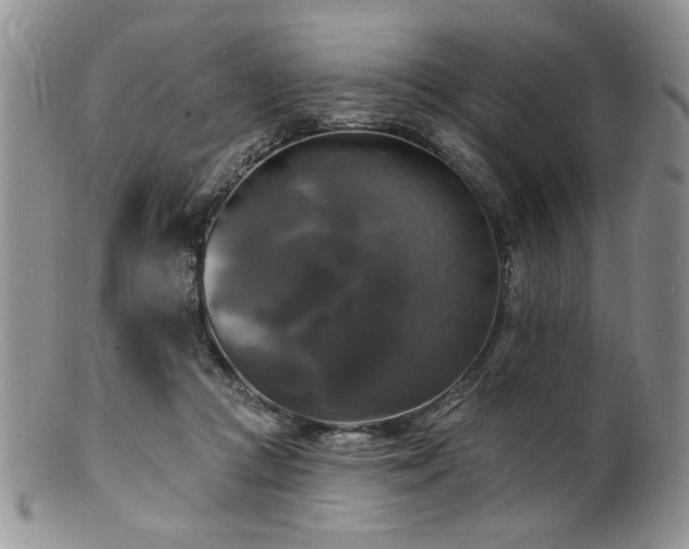 X0000100840361200806201156