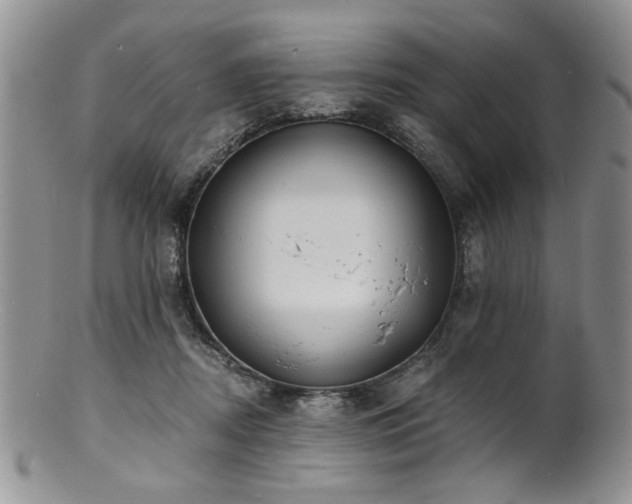 X0000100840362200806201156