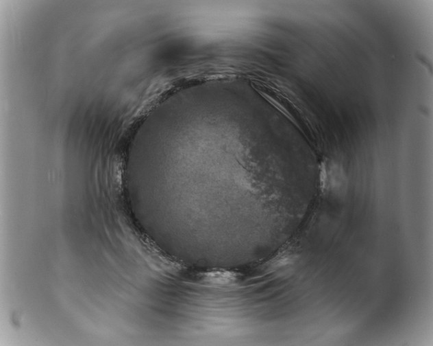 X0000100840363200806201156